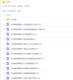 caffe视频教程,从入门到精通的视频教程概述