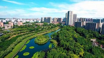 下沙的视频,繁华都市中的宁静角落