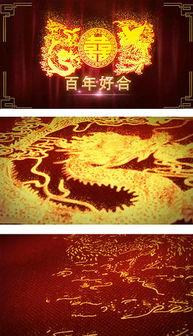 龙凤视频